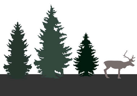 set of silhouettes in green and grey colors, coniferous trees (spruce) and reindeer, north forest, vector illustrationのイラスト素材
