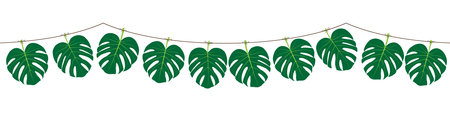 vector tropical palm leaves garland isolated on white. decorative green monsteraのイラスト素材