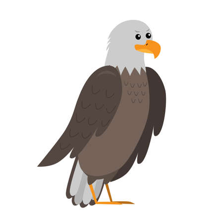 cute cartoon flat bald eagle from side, vector isolated on white, illustration for childrenのイラスト素材