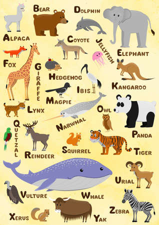 Beautiful Alphabet and Animal Vector poster. Cute and educational Illustration for children with english names of animals from whole worldのイラスト素材