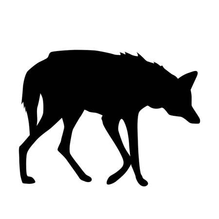 maned wolf form side silhouette, vector isolated on white backgroundのイラスト素材