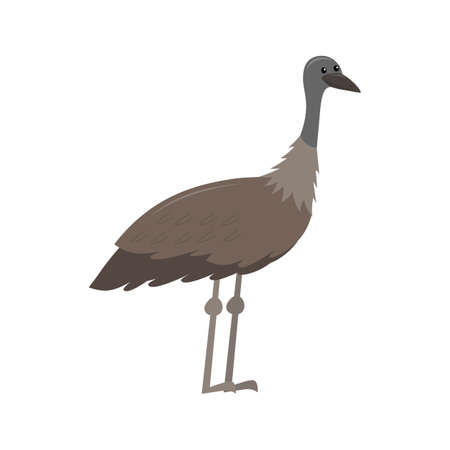 Emu flat vector isolated illustration on white backgroundのイラスト素材