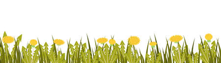Vector illustration border of grass and dandelions on a white background, decorative strip for summer and spring seasonのイラスト素材