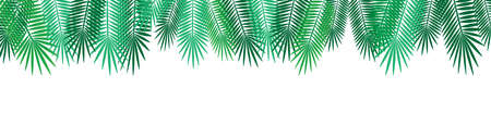 natural cartoon green tropical palm leaves rim, vector illustration for decorating invitations, cards, websites, posters or banners isolated on whiteのイラスト素材