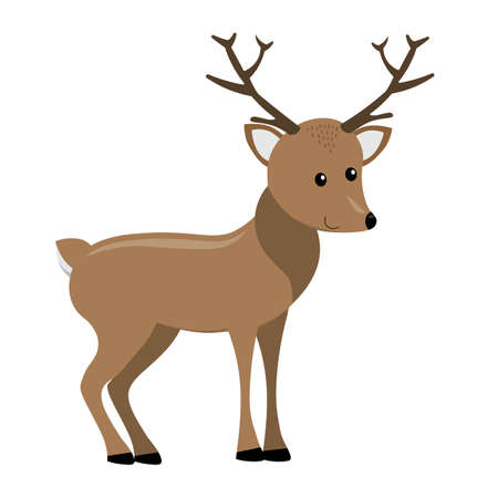 cartoon wapiti deer, flat color vector illustration isolated on white background, cute illustration for childrenのイラスト素材