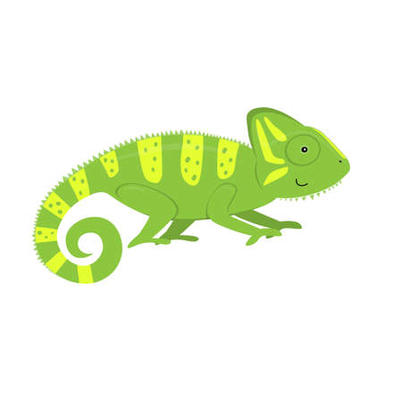 cartoon chameleon, flat color vector ilustration isolated on white backgroundのイラスト素材