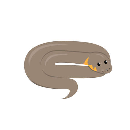 grey cartoon grass snake (Natrix natrix) , flat color vector ilustration isolated on white background for childrenのイラスト素材