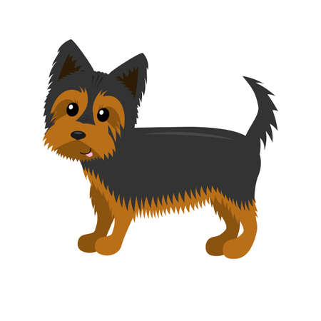 cartoon dog, yorkshire terrier, flat vector ilustration isolated on white background for childrenのイラスト素材