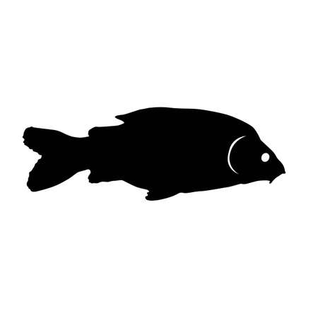 carp from side silhouette, vector isolated on white background, realistic outline, design for fishing, christmas, natureのイラスト素材