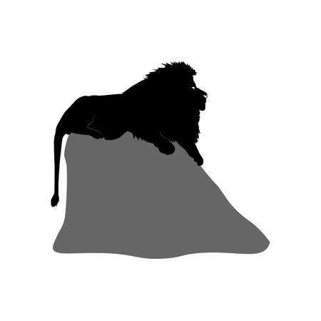Lion (Panthera leo krugeri) lying on rock from profile. Vector silhouette illustration isolated on white background. Animals king. Big cat. African wildlife predator.のイラスト素材