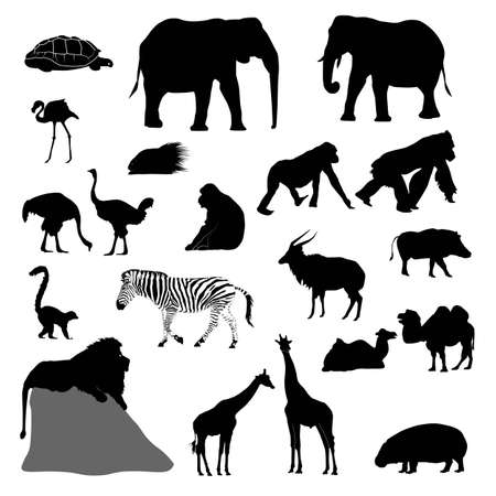 set of silhouettes of african animals (ostrich, giraffe, elephant, zebra, warthog, nyala, flamingo, pigmy hippo, gorilla...) vector isolated on white backgroundのイラスト素材