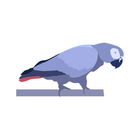 Abstract modern illustration of a african grey parrot ((Psittacus erithacus). Side view. Trendy artistic vector design isolated on white background.のイラスト素材