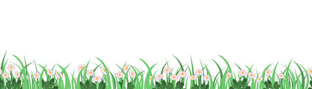 Vector illustration border of grass and daisies on a white background, decorative strip for summer and spring seasonのイラスト素材