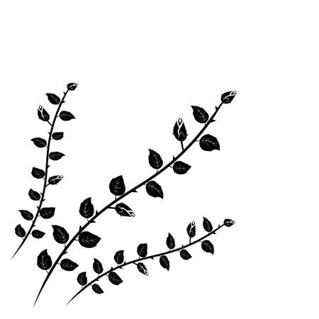 thorny branches with leaves and roses buds, black elegent classical decorative corner decoration, vector illustrationのイラスト素材