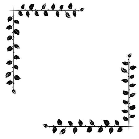 thorny branches with leaves and roses buds, black elegent classical decorative corner decoration, vector illustrationの写真素材