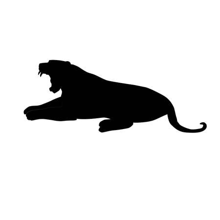 black silhouette of bengal tiger (Panthera tigris tigris) lyiing and roaring, vector illustratin isolated on white background, realistic outlineのイラスト素材