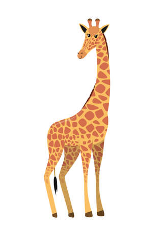 flat cute cartoon standing giraffe from side, vector isolated on white background, illustration for childrenのイラスト素材