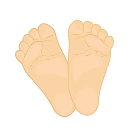 baby feet in skin colors, vector illustration isolated on white backgroundのイラスト素材