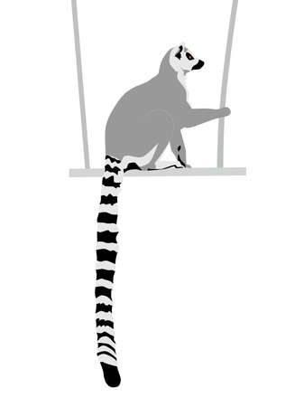 Abstract modern illustration of Ring-tailed lemur (Lemur catta) from side sitting on swing, Trendy artistic vector design isolated on white backgroundのイラスト素材