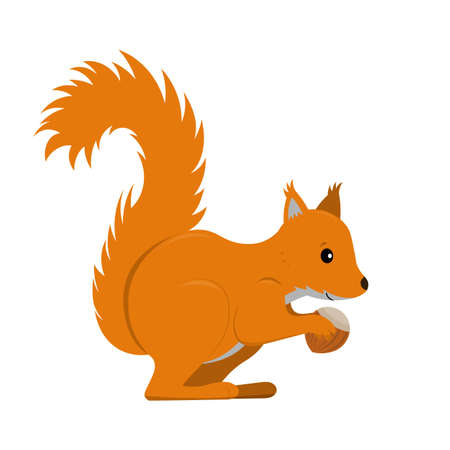 squirrel from side with nut isolated silhouette on white background, cute vector illustration for children and kidsのイラスト素材