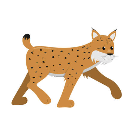 lynx from side walking isolated on white background, cute vector illustration for children and kidsのイラスト素材