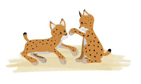 Cute lynx pups playing on a white background in cartoon childish style. Vector illustration with cute forest animals for kids.のイラスト素材
