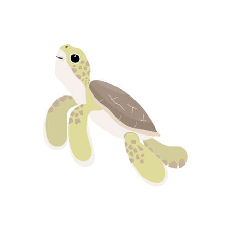 cartoon sea turtle baby swimming, vector illustration isolated on white, vector illustration in childish style for kidsのイラスト素材