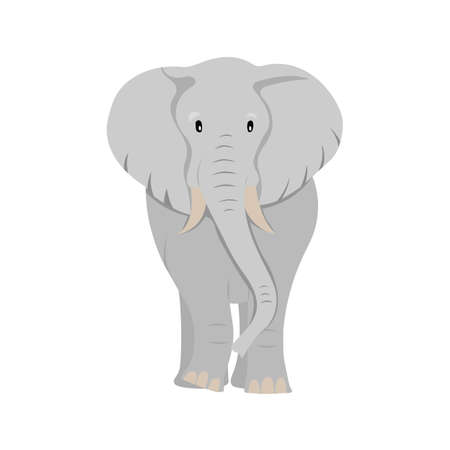 cartoon flat elephant illustration isolated on whiteのイラスト素材