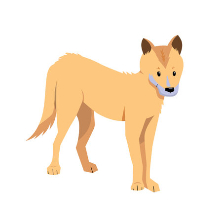 Cute cartoon dingo dog isolated on white background. Australian animal.のイラスト素材