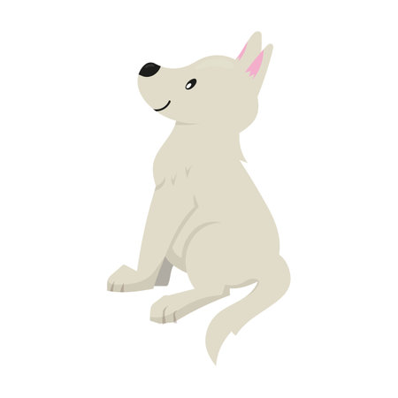 Vector illustration of cute puppy in flat style. Isolated on white. Swiss shephard. Illustration in childish style.のイラスト素材