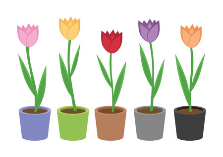 A set of cartoon flower pot with tulip flowers. Flat tulip flower vector illustration.のイラスト素材