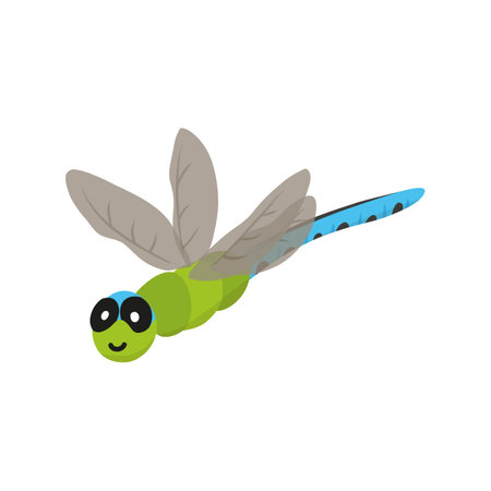 Cartoon green and blue dragonfly isolated on a white background. Colorful vector illustration for children in flat style.のイラスト素材