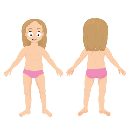 Cute cartoon little girl front and back view. Educational anatomy body for kids. Vector isolated on white.のイラスト素材