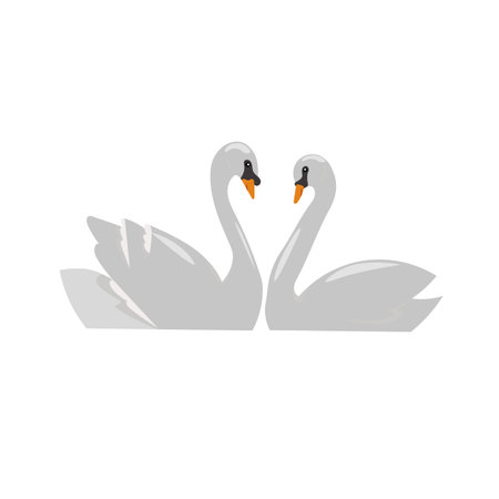 Cartoon couple of swans isolated on a white background. Colorful vector illustration for children.のイラスト素材