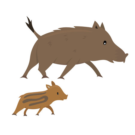 Cartoon baby and mother wild pig. Colorful vector illustration for children isolated on white background.のイラスト素材