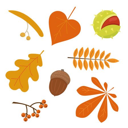 Vector illustration set of parts of different trees. Colorful cartoon illustrations for kids. Elements for stickers, educational worksheets etc.のイラスト素材