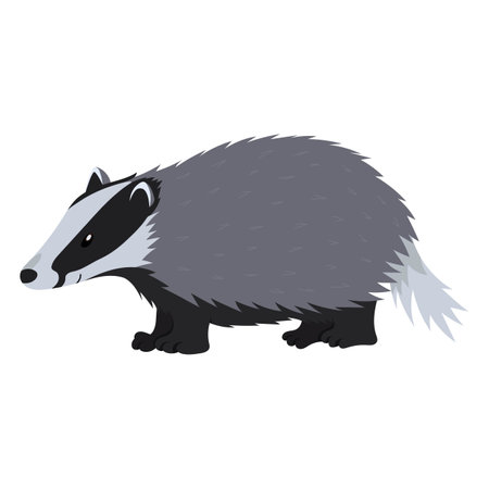 Cartoon cute badger isolated on white background. Vector illustration for children.のイラスト素材