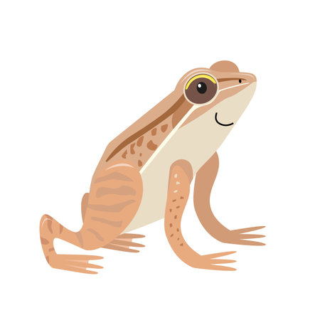 Common frog cartoon illustration isolated on white background. Flat style character for kids.のイラスト素材