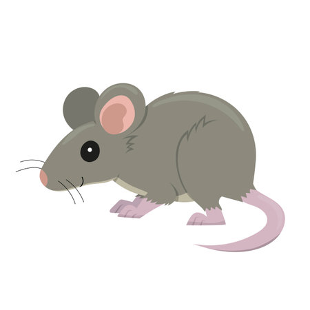 Mouse isolated on white background. Vector cartoon animal illustration for kids.のイラスト素材