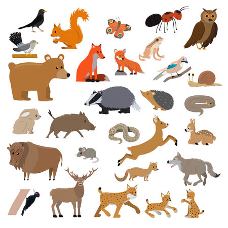 set of cute cartoon fosrest animalsのイラスト素材