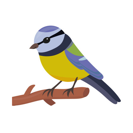 Blue tit cartoon vector illustration isolated on white background. Bird character for kids.のイラスト素材