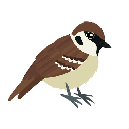 Common sparrow. Small bird in cute cartoon style. Isolated vector clip art illustration.のイラスト素材