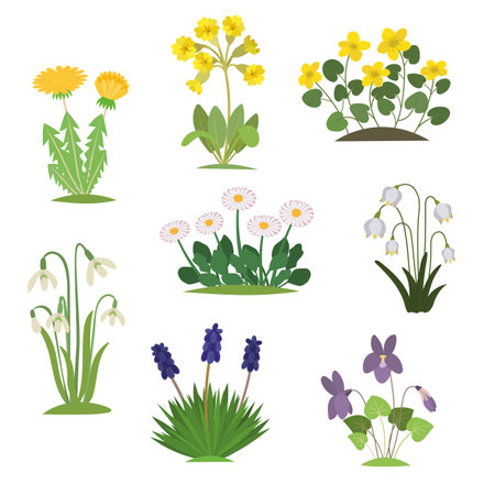 Botanical set with cartoon spring flowers isolated on white background.のイラスト素材