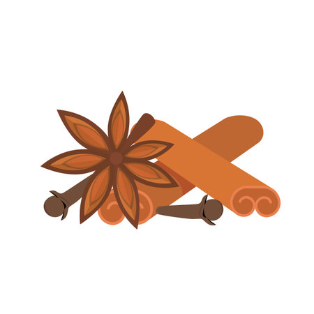 Winter spice for mulled wine or gingerbread. Cartoon flat vector isolated on white background.のイラスト素材