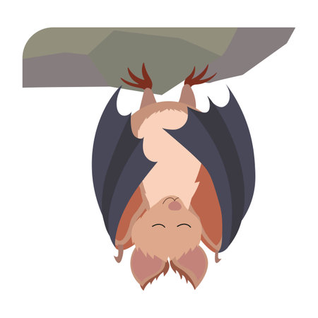 Cartoon bat hanging in cave and sleeping. Vector illustration isolated on white. Winter sleep.のイラスト素材