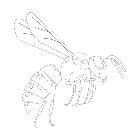 Insect Wasp Animal Isolated. Coloring Page for Kids. Vector outline illustration.のイラスト素材