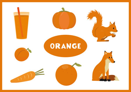 Learn the orange color. Education set of one color objects. Vector flat illustration for posters, worksheets and activities for kids.のイラスト素材