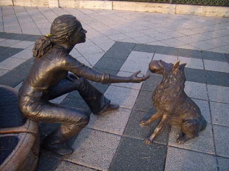 girl with dogの写真素材