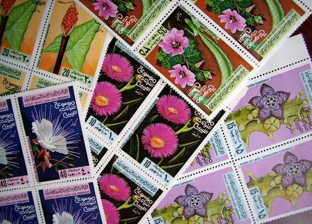 beauty lybian stampsの写真素材