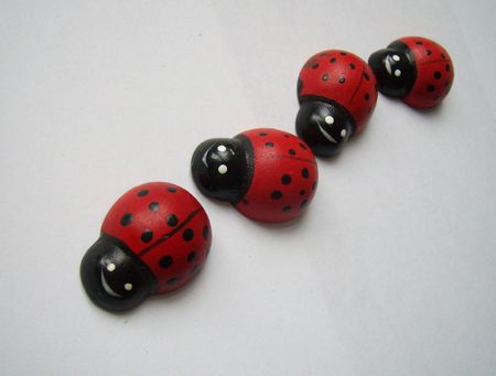 wooden ladybirds in twisting lineの写真素材